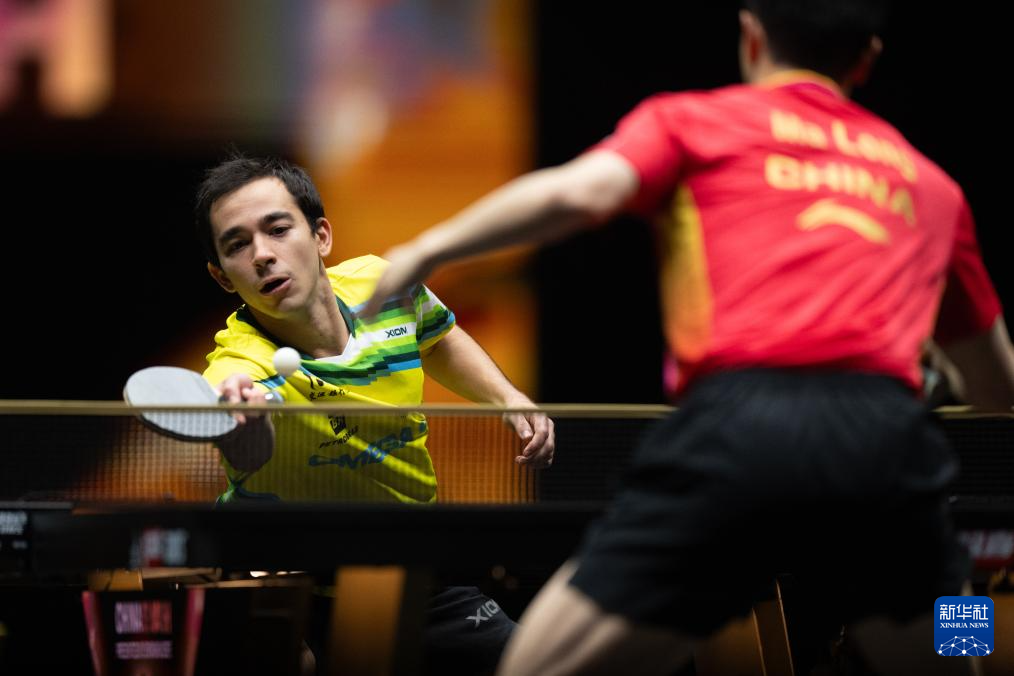 但他们没有 但他们没有