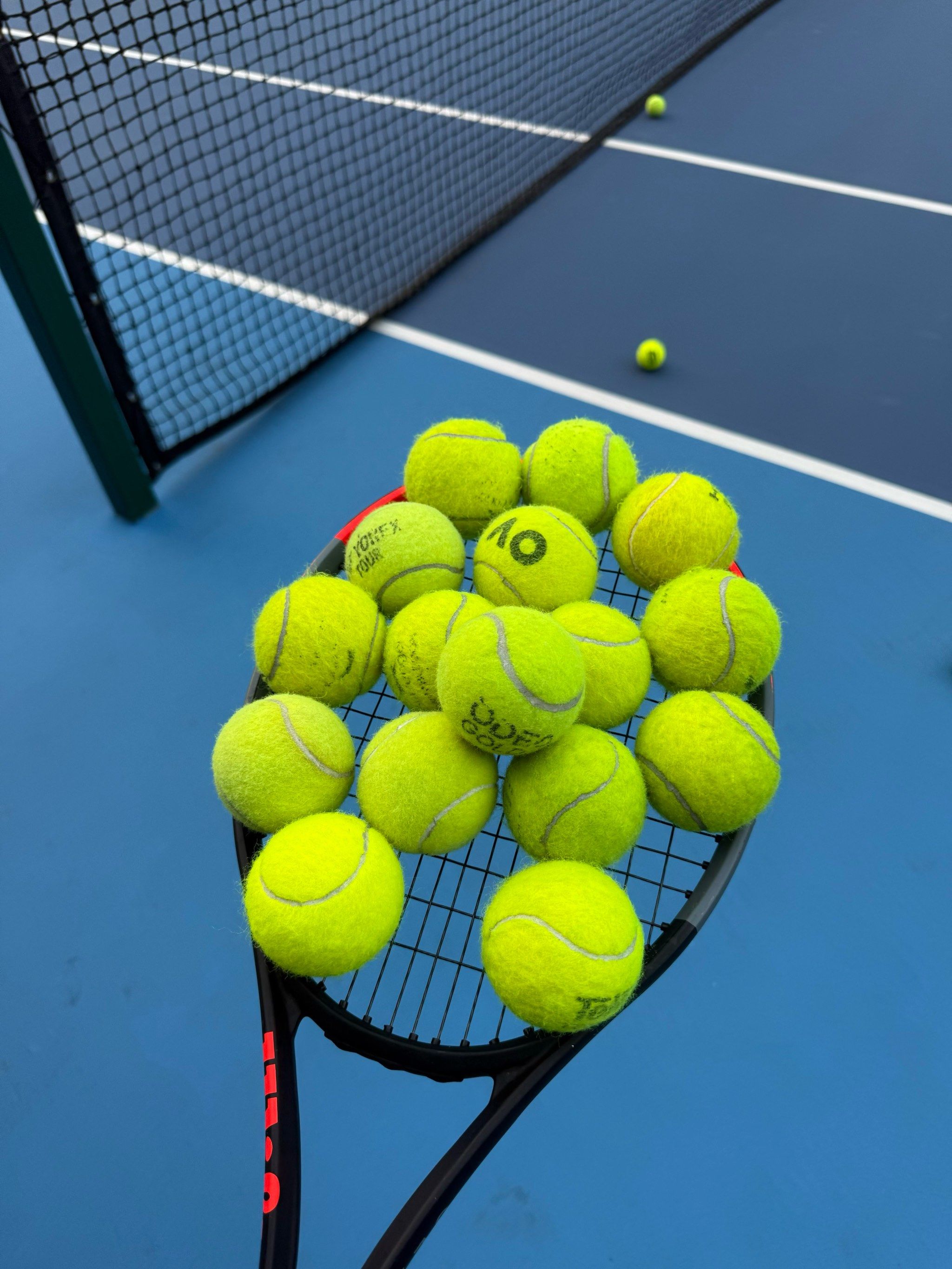 高的组织管 高的组织管